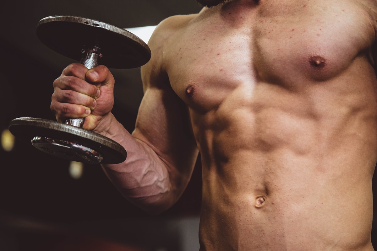Body Composition Program